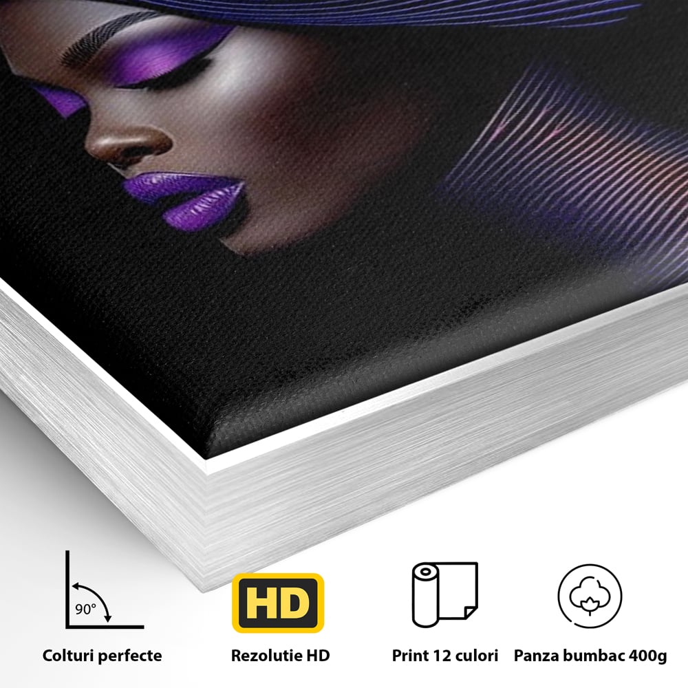 Detaliu al suprafetei: portret digital de femeie cu fusta plisata, in rama de aluminiu argintiu